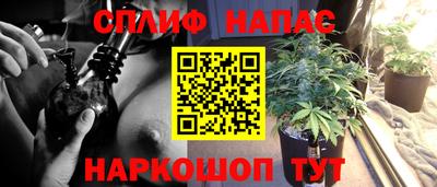 spice Свободный