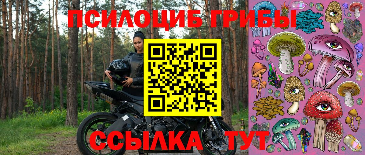 Семилуки  Псилоцибиновые грибы Psilocybe  Вход с VPN 