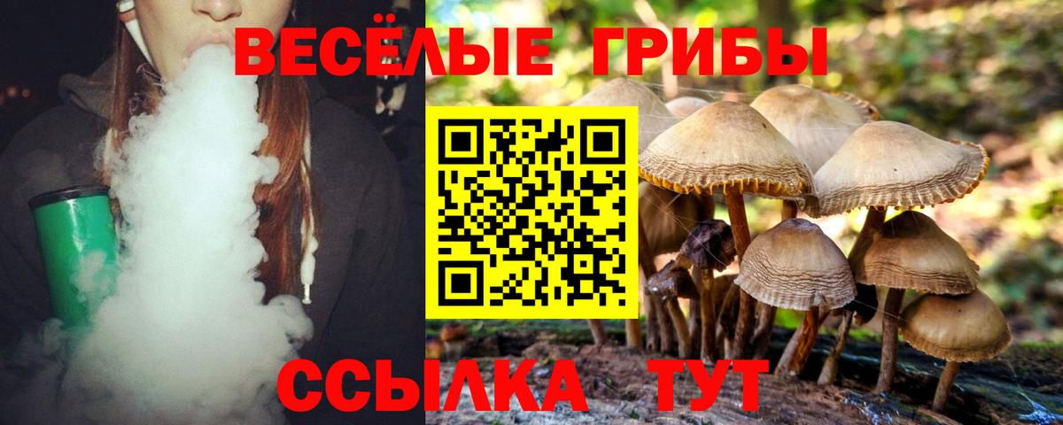 Псилоцибиновые грибы Magic Shrooms Семилуки